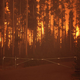 Image for article titled How a Few Wildfires Turned Into a Fire Tornado